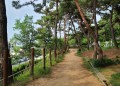 주민들의 휴식공간, 송현공원