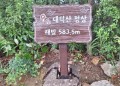 우리집 앞에 있는 산, 대덕산=대박산