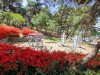 송현공원 둘레길에서 꽃구경